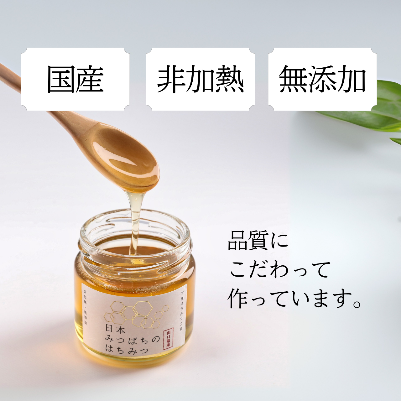 日本みつばちのはちみつ 150g